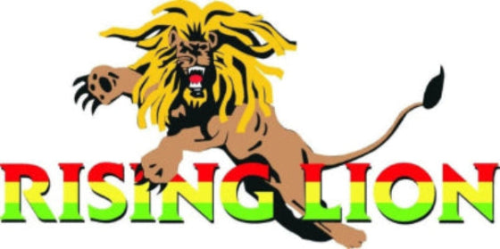 Logo of 'Rising Lion' with a lion graphic and colorful text on a white background